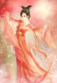 总裁的笨情人