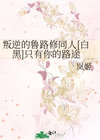 叛逆的魯路修同人[白黑]只有你的路途